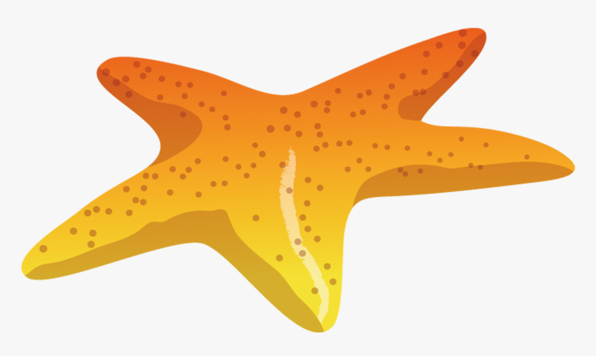 Starfish Sea Download - Starfish, HD Png Download