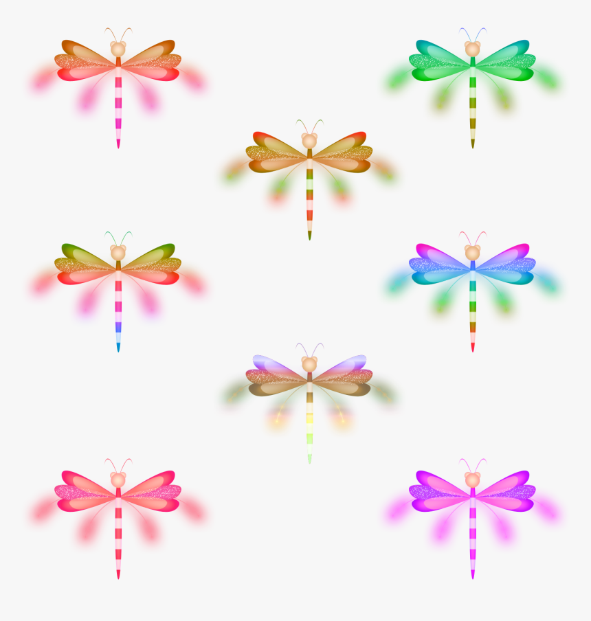 Butterfly, HD Png Download