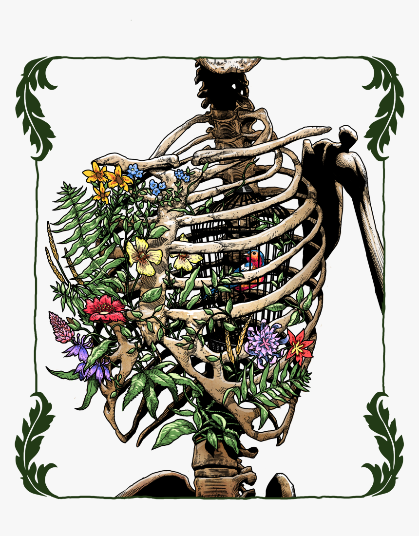 Illustration, HD Png Download