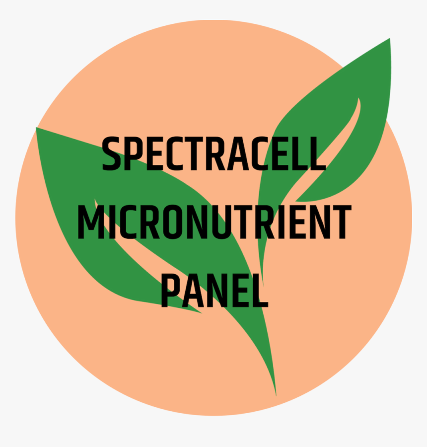 Spectracell Micronutrient Panel - Circle, HD Png Download