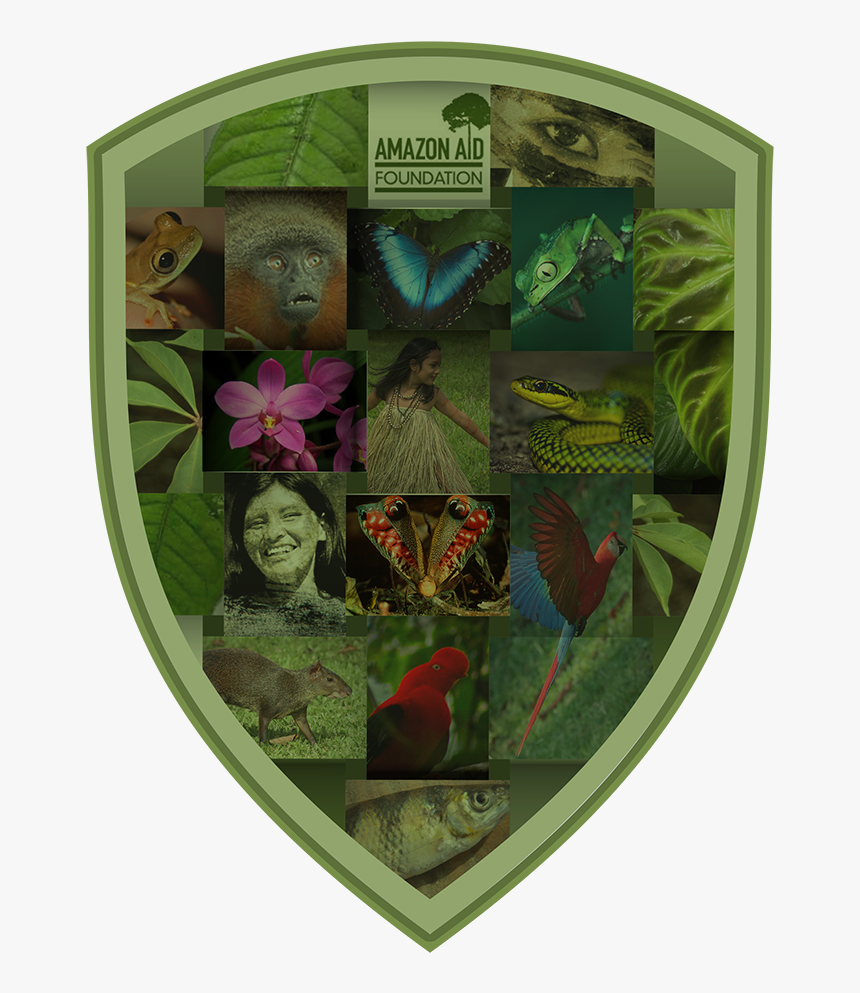 Amazon Warrior Shield - Floral Design, HD Png Download