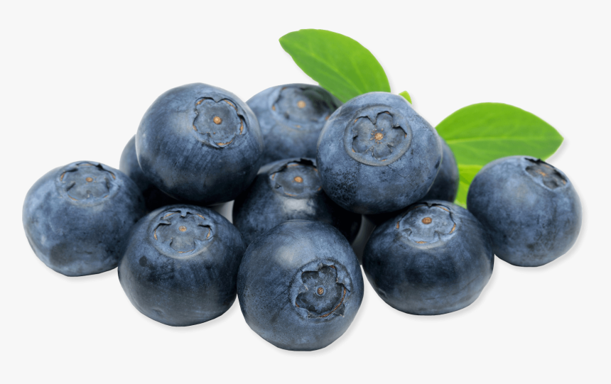 Blueberries Close Up Clip Arts - Clipart Myrtille, HD Png Download