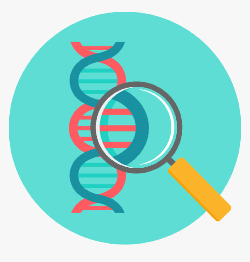 Transparent Next Icon Png - Biology Icon Png, Png Download