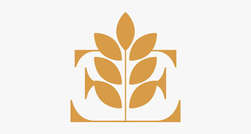 Cake Icon - Graphic Design, HD Png Download