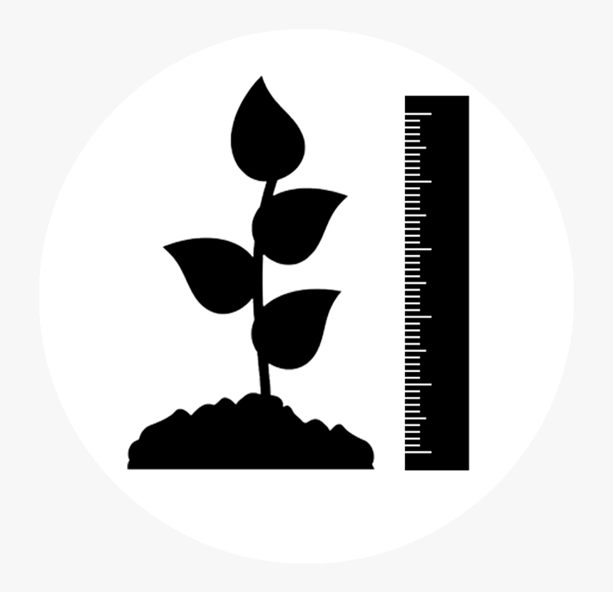 Plant Height Icon Png, Transparent Png