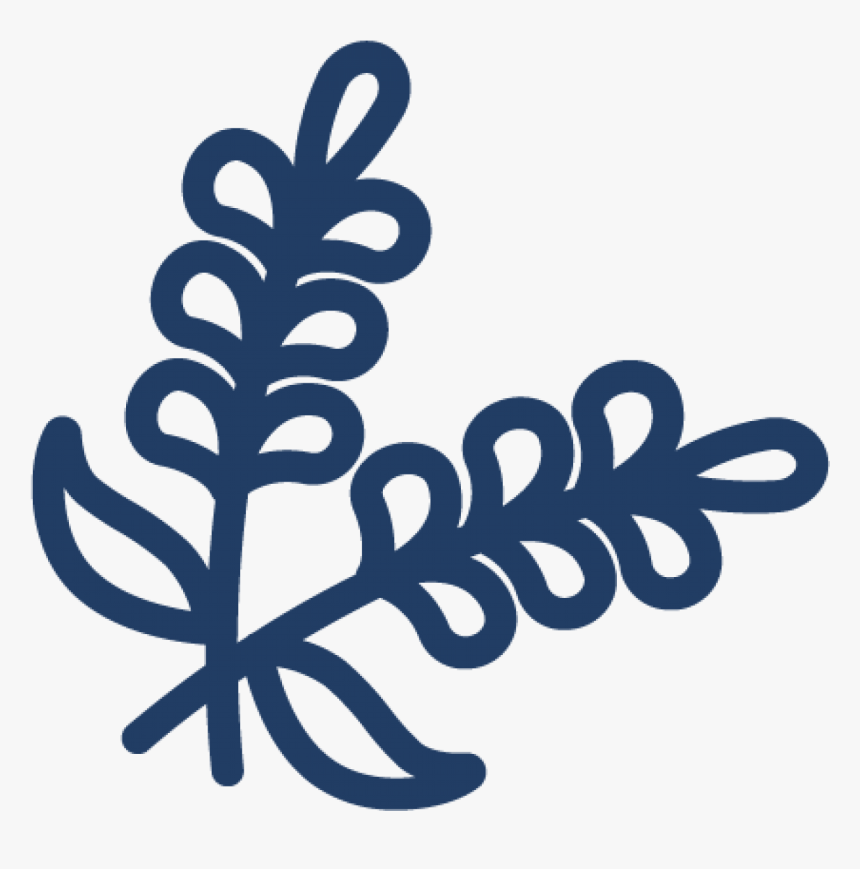 Haleakala Sunrise & Zip Tour - Calligraphy, HD Png Download