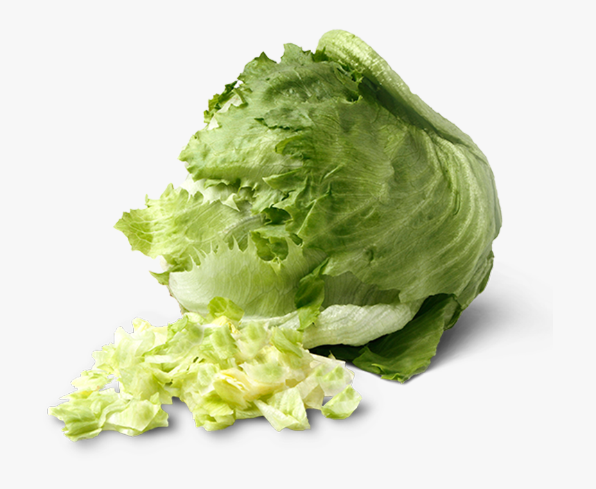 один капустный лист арт. капустный лист нарисовать. капустный лист от оттенков. капустный лист. лист бумаги капустный лист.