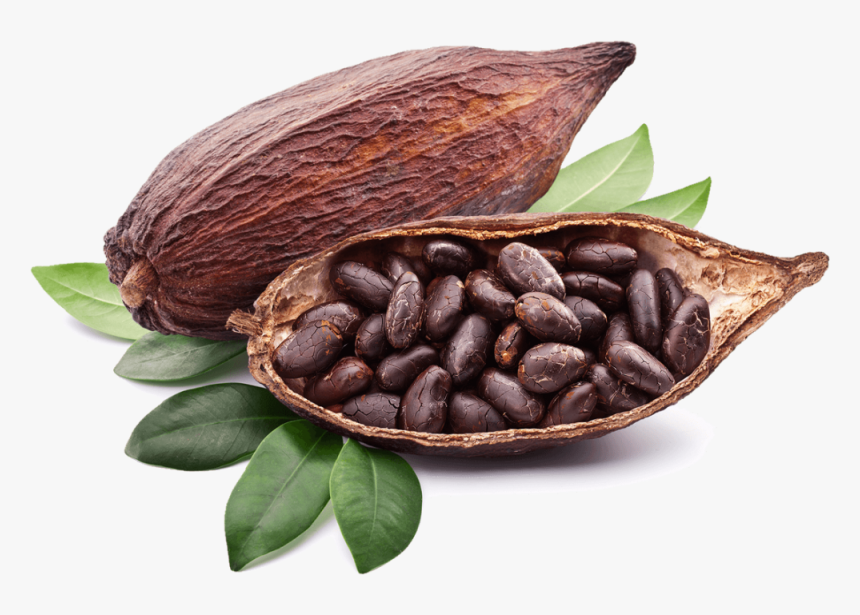 Download Cocoa Png Photos 105 - Transparent Cocoa Png, Png Download