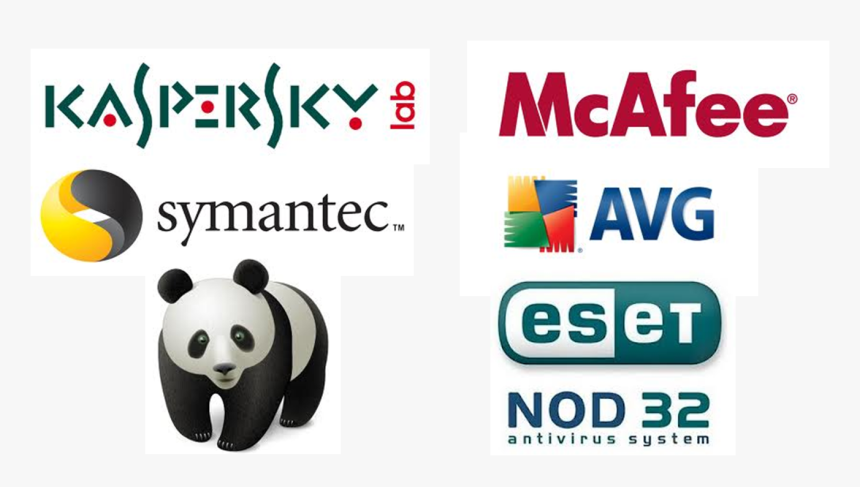 Panda, HD Png Download