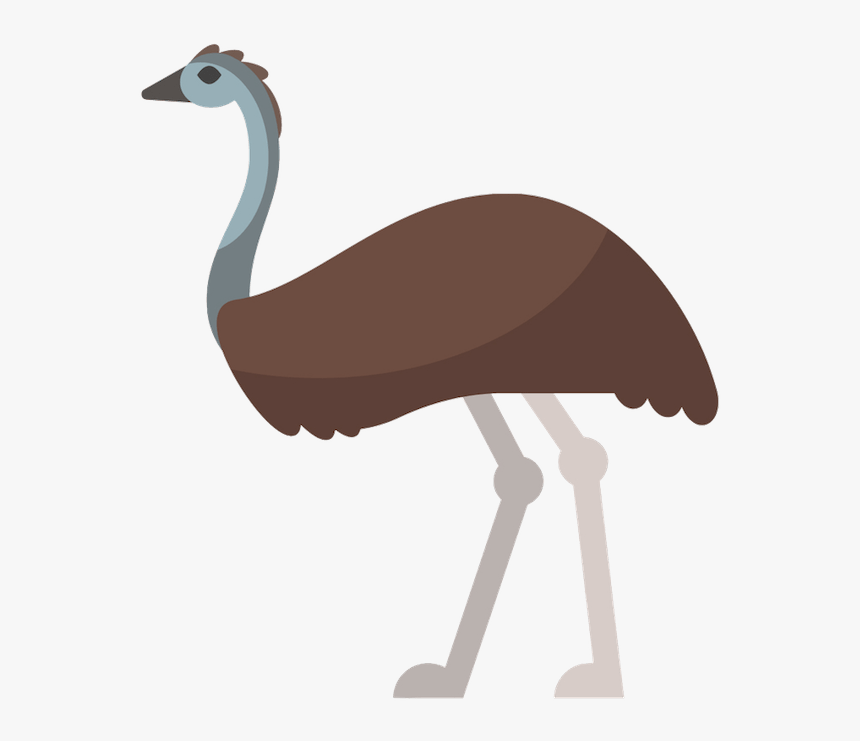 Emu Vector , Png Download - Emu Cartoon Australian Animals, Transparent Png