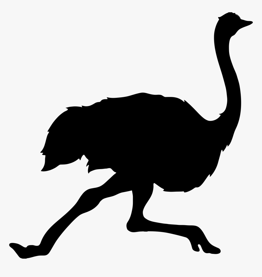Ostrich Silhouette, HD Png Download