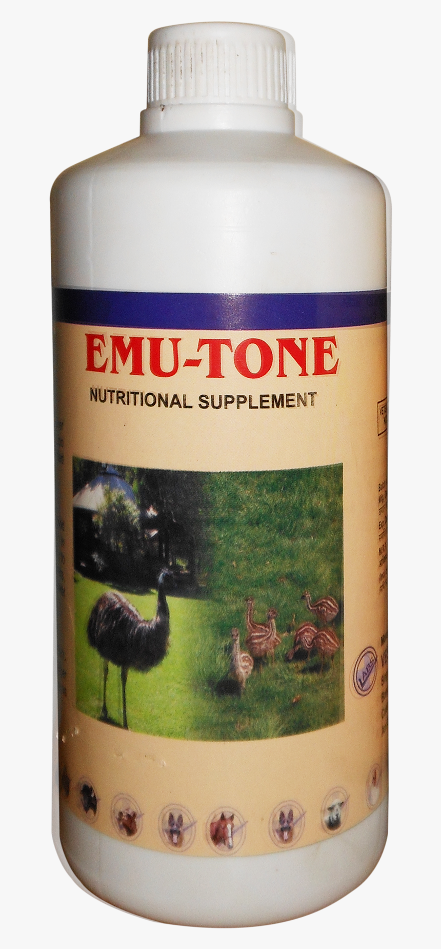 Transparent Emu Png - Emu, Png Download