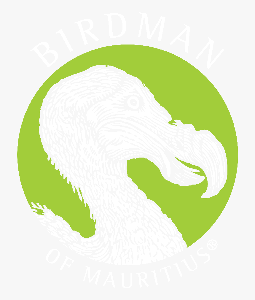 Logo - 韩国 汉阳 大学, HD Png Download