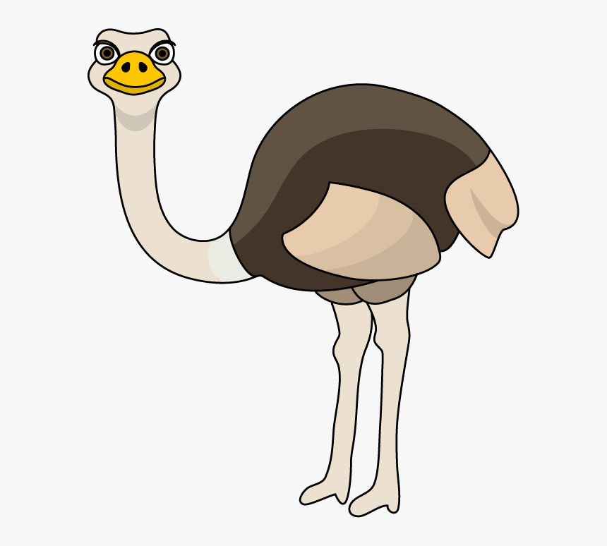 Free Collection Download And - Ostrich Clipart, HD Png Download