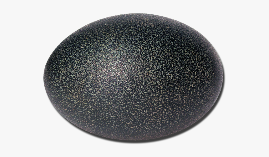 Cosmetics, HD Png Download