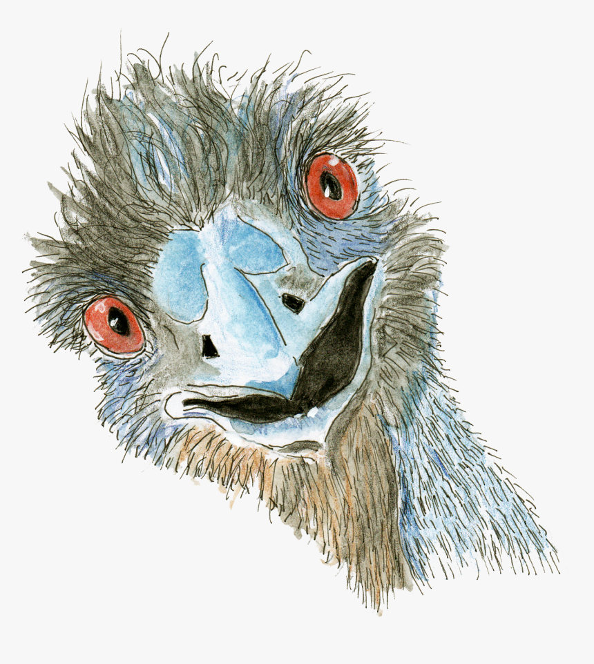 Emu Png, Transparent Png