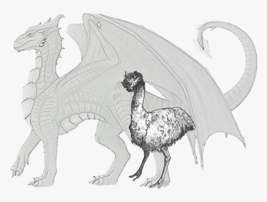 Wildlife Fauna Line Art Extinction Sketch - Emu Dragon, HD Png Download