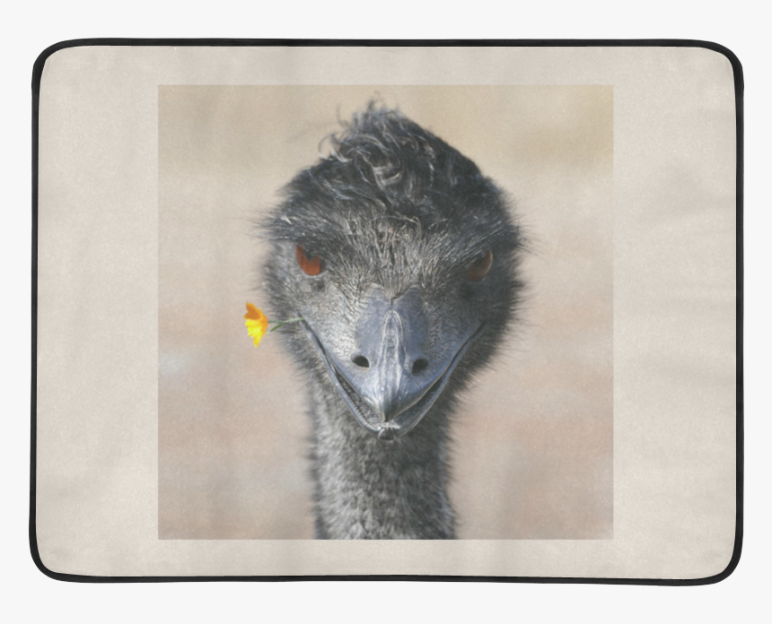 Sign Beach Mat 78 X 60 - Emu, HD Png Download