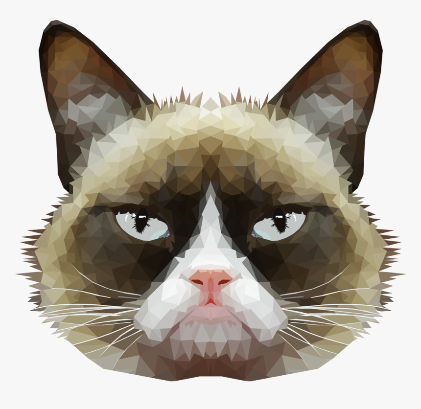 Cat Face With No Background, HD Png Download