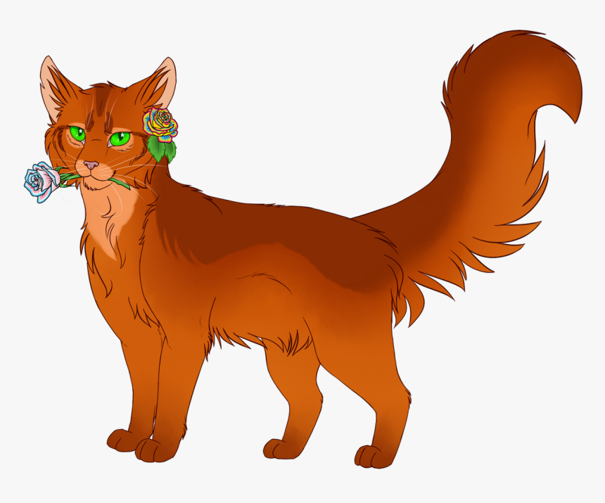 Somali, HD Png Download