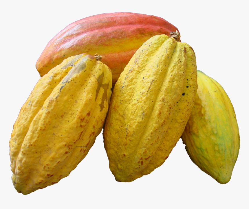 Cacao Png, Transparent Png