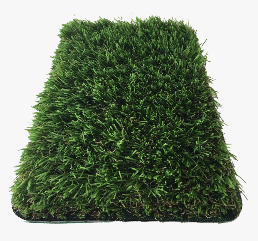 Hedge, HD Png Download