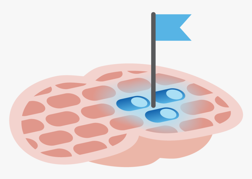 Circle, HD Png Download