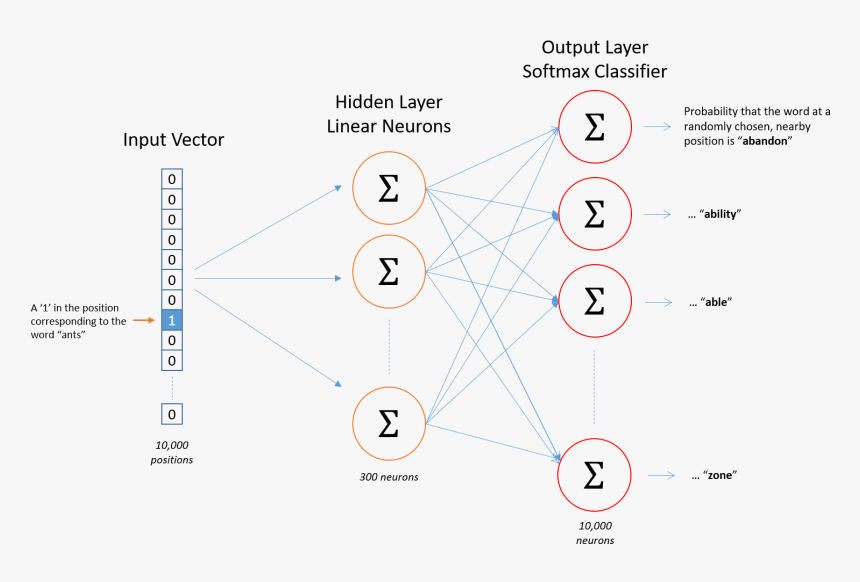 Enter Image Description Here - Word2vec 模型, HD Png Download