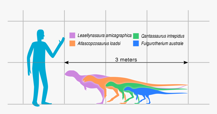 Qantassaurus Size, HD Png Download