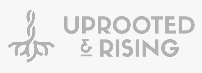 Ur Bw Secondary Slate - Calligraphy, HD Png Download