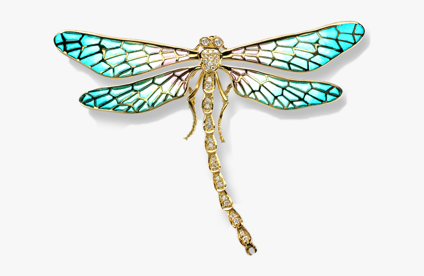 Dragonfly, HD Png Download