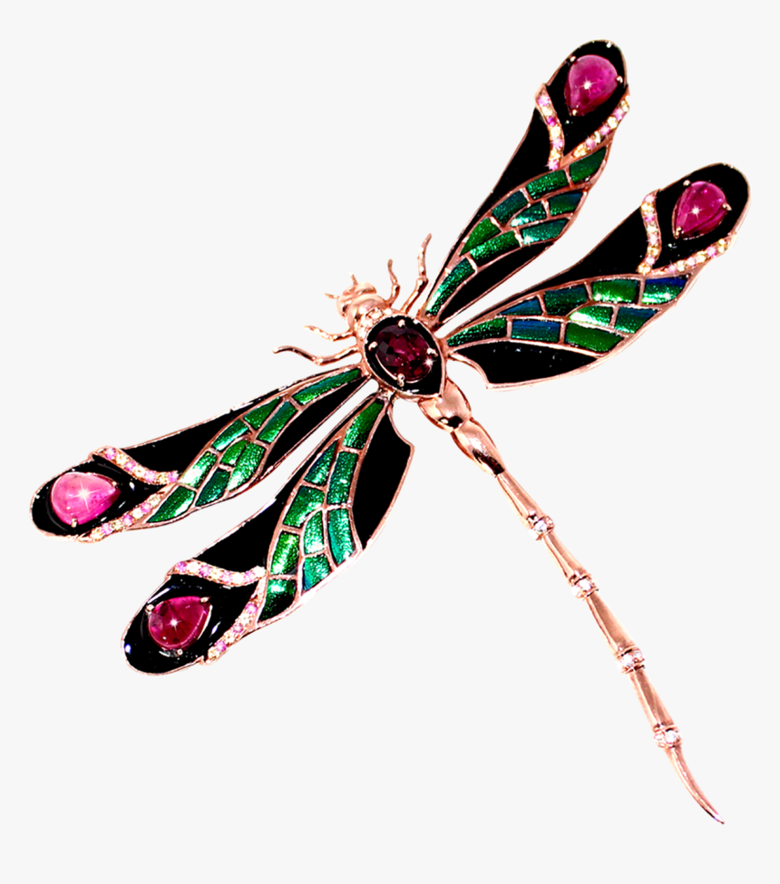 Transparent Dragonfly Wings Png - Net-winged Insects, Png Download