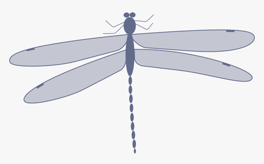 Dragonfly Clip Art, HD Png Download