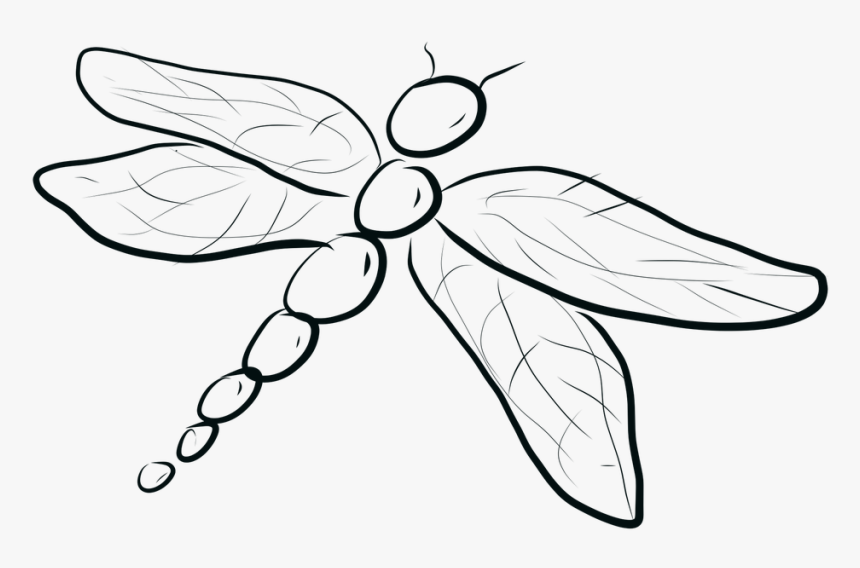 Dragonfly, Bug, Insect, Whimsical, Wings, Wildlife - Dibujo Libelula Para Colorear, HD Png Download