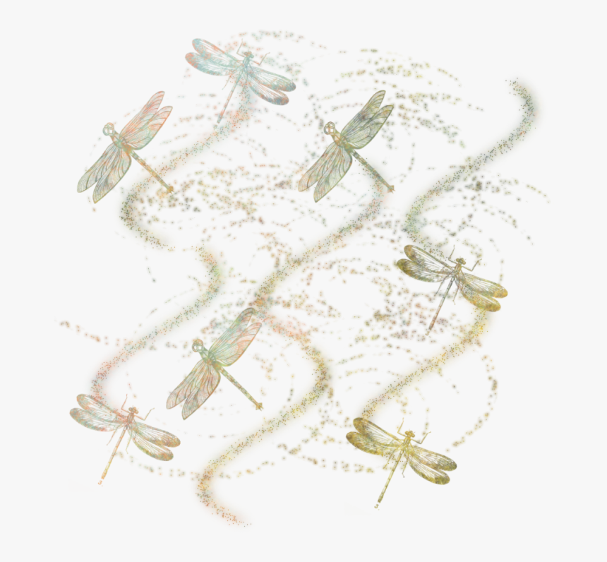 Dragonfly Masked Texture 800 X - Net-winged Insects, HD Png Download