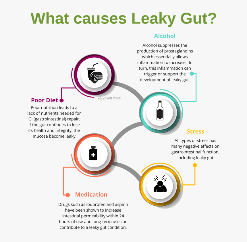 Causes Leaky Gut, HD Png Download