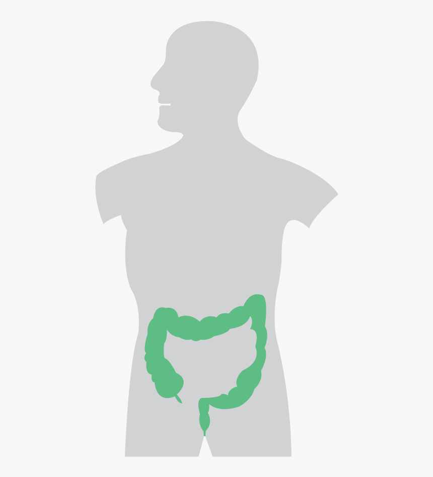 Illustration, HD Png Download