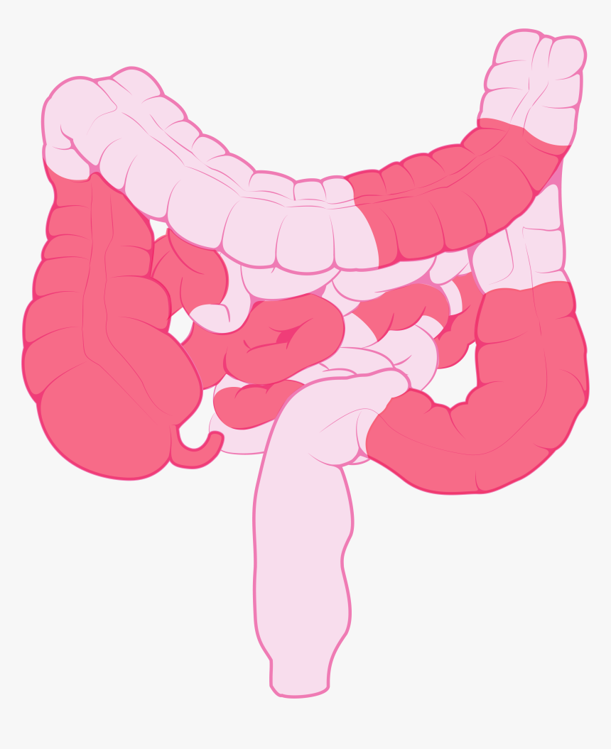 Clip Art, HD Png Download