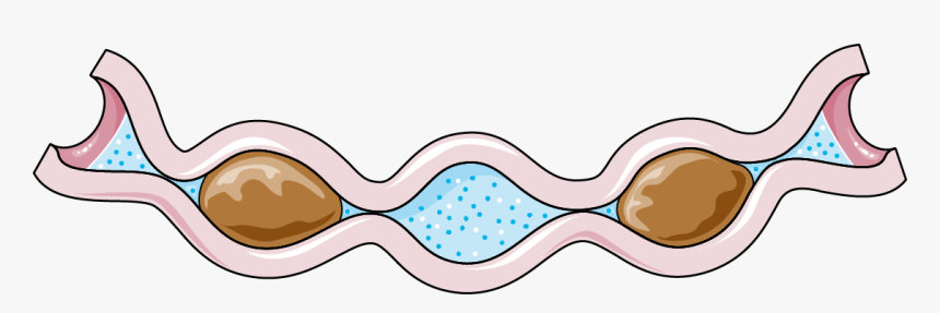 Clip Art, HD Png Download