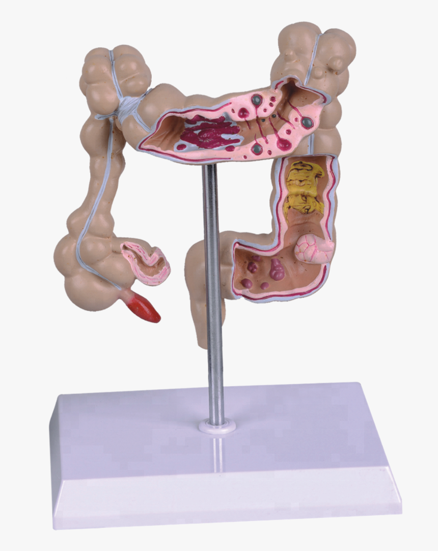 Child Carousel, HD Png Download