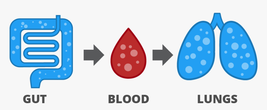 Hydrogen Breath Test Icon, HD Png Download