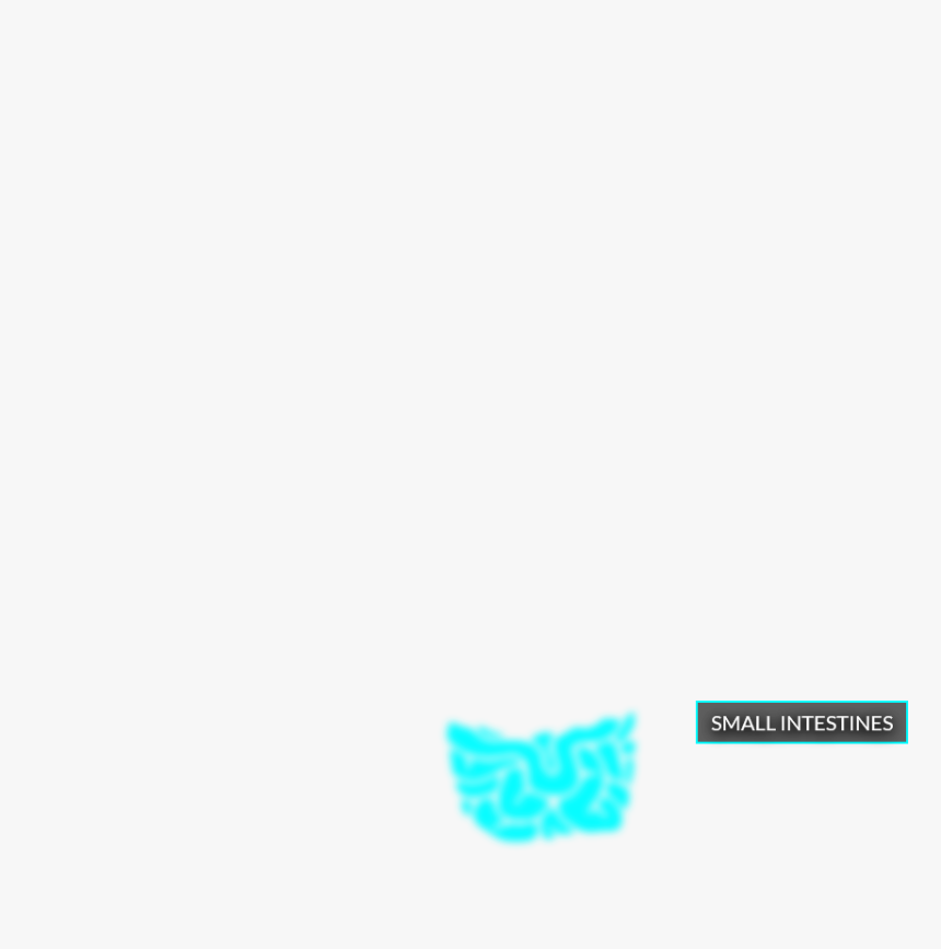 Paw, HD Png Download