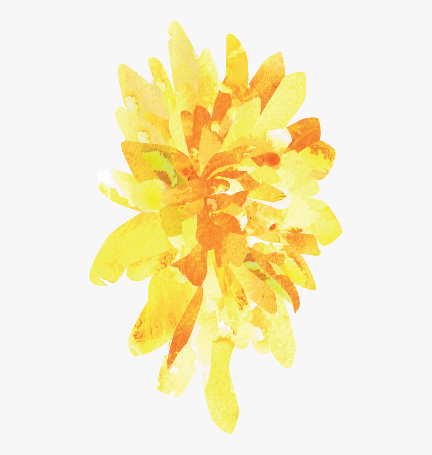 Watercolor Stationary Illustration Wedding September - Tagetes Patula, HD Png Download
