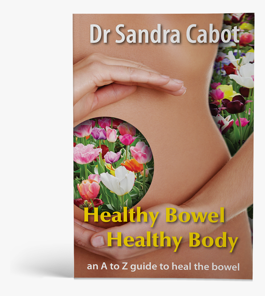 Healthy Bowel Healthy Body, HD Png Download
