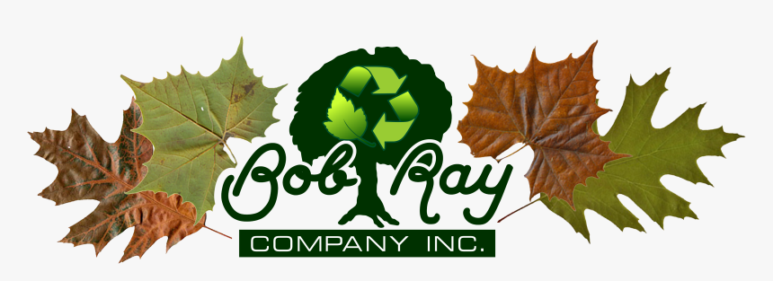 Bob Ray Co Truck Tree - Oak Leaf, HD Png Download