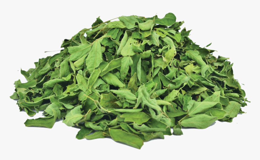 Organic Cassia Leaves - Spinach, HD Png Download