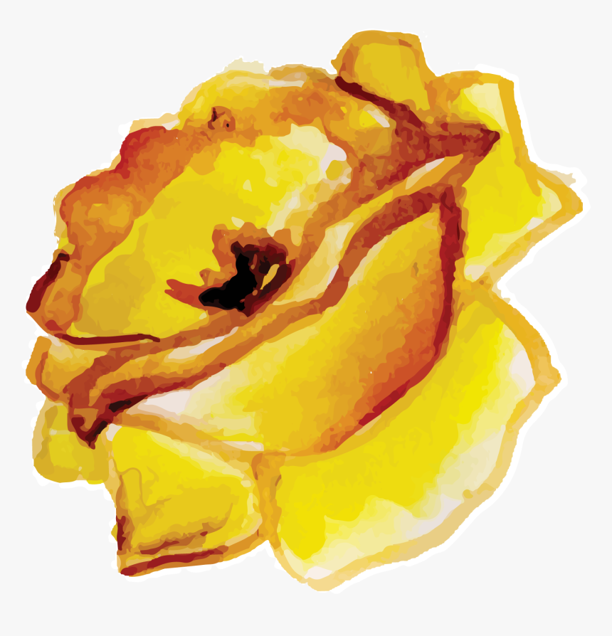 Floribunda, HD Png Download