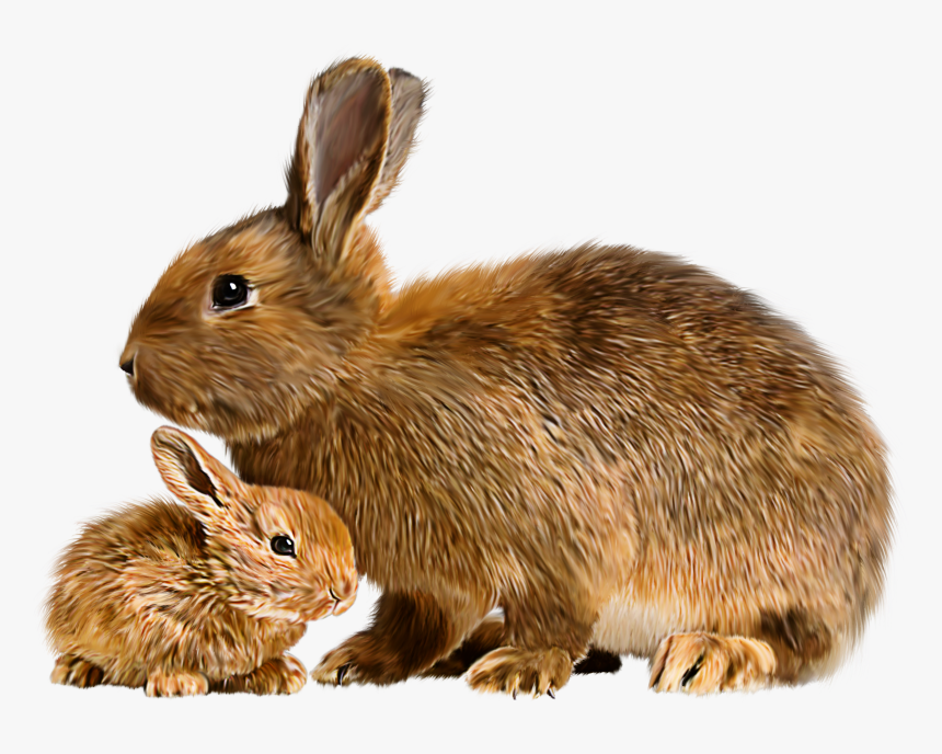 Bunnies Clipart Giant - Animals Mother And Baby, HD Png Download