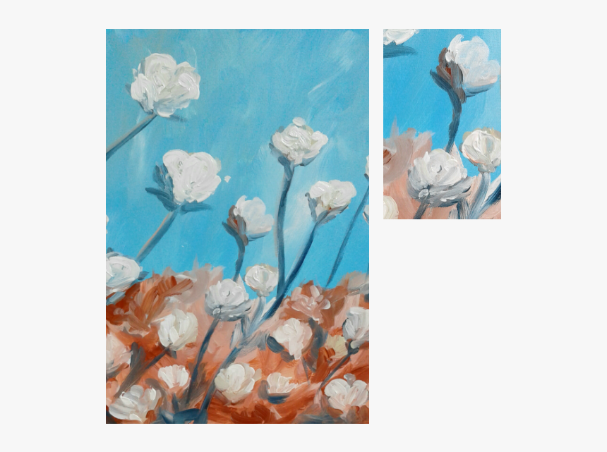 Cotton - Garden Roses, HD Png Download