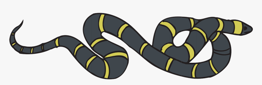 Black And Yellow Snake Png, Transparent Png
